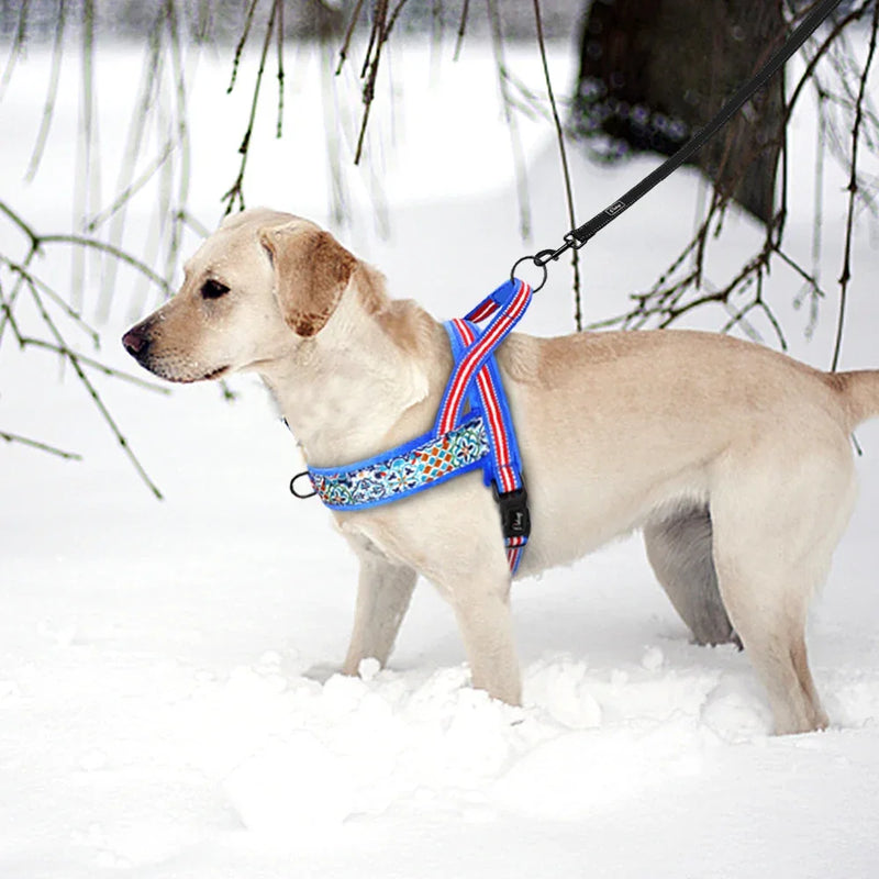 Colete Peitoral de Inverno para Cães Ajustável, Acolchoado e Refletivo