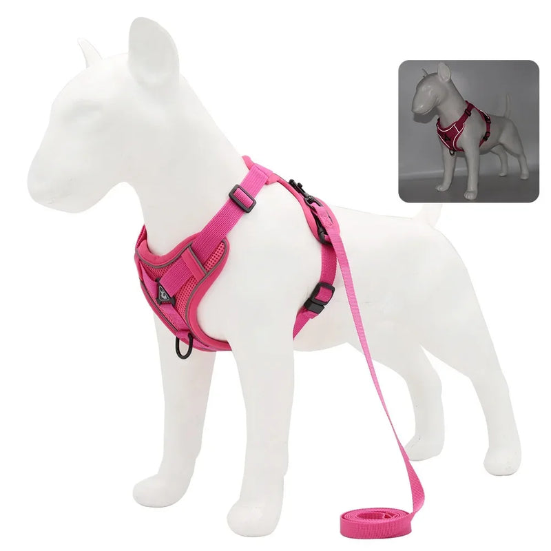 Conjunto Peitoral e Guia para Cachorros e Ajustável e Resistente