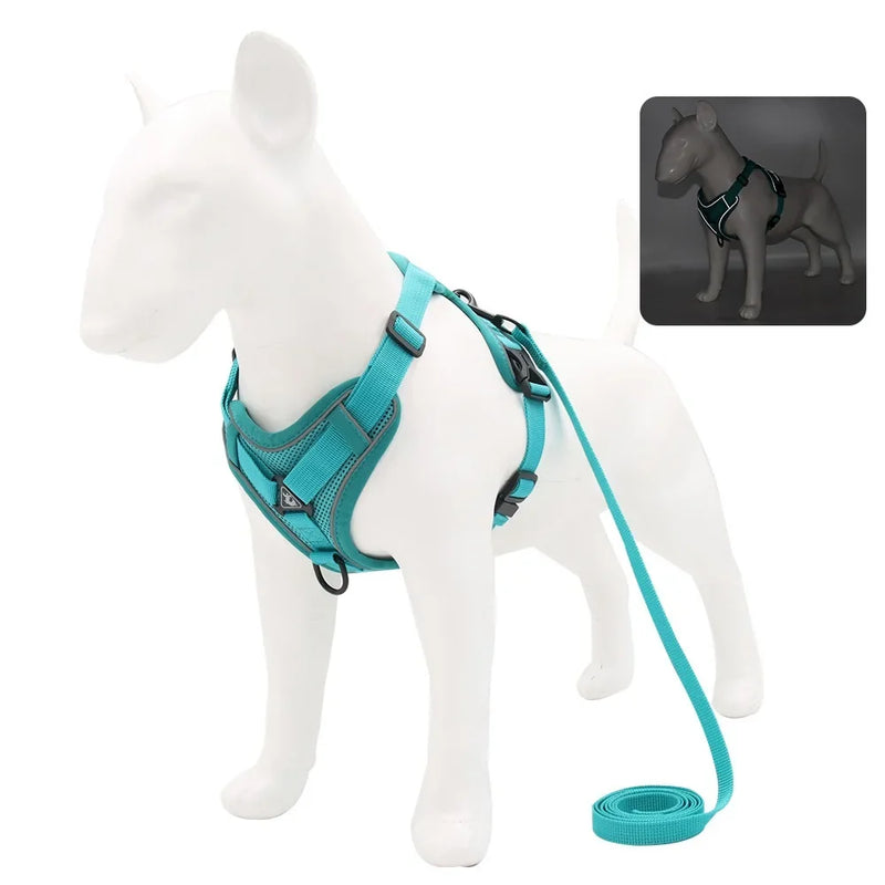Conjunto Peitoral e Guia para Cachorros e Ajustável e Resistente