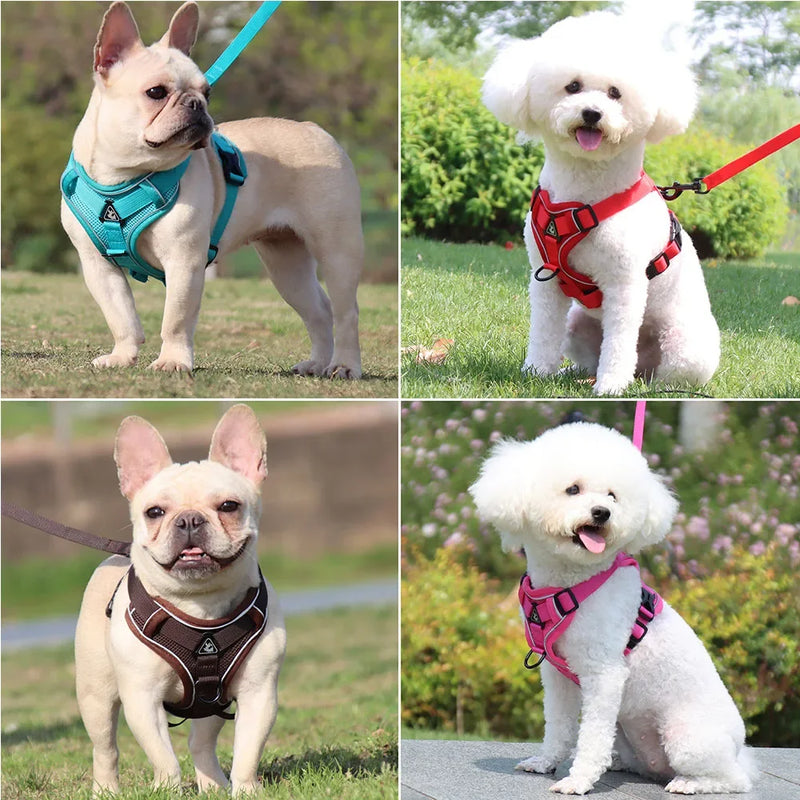 Conjunto Peitoral e Guia para Cachorros e Ajustável e Resistente