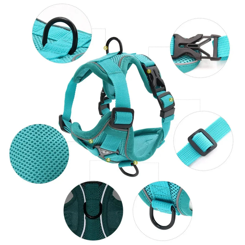 Conjunto Peitoral e Guia para Cachorros e Ajustável e Resistente