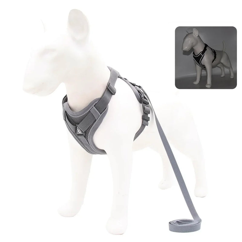 Conjunto Peitoral e Guia para Cachorros e Ajustável e Resistente