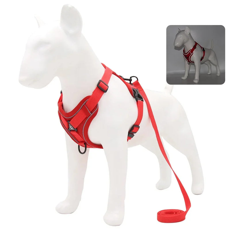 Conjunto Peitoral e Guia para Cachorros e Ajustável e Resistente