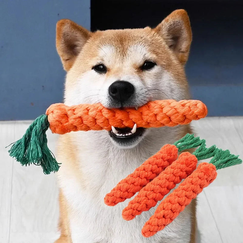 Corda Cenoura Mordedor para Cães – Brinquedo Resistente e Limpeza Dental