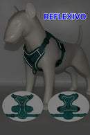 Conjunto Peitoral e Guia para Cachorros e Ajustável e Resistente