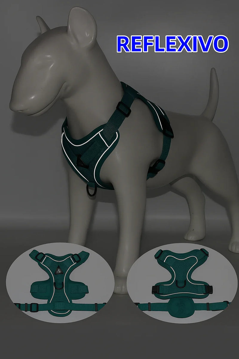 Conjunto Peitoral e Guia para Cachorros e Ajustável e Resistente